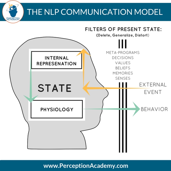 The NLP Model Of Perception - Perception Academy
